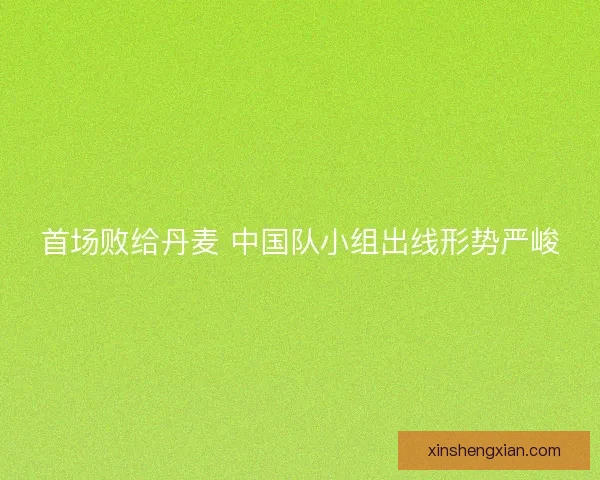 首场败给丹麦 中国队小组出线形势严峻